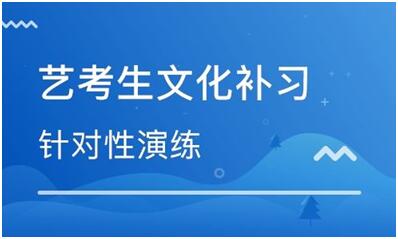 參加文化課集訓的是不是都是藝術考生